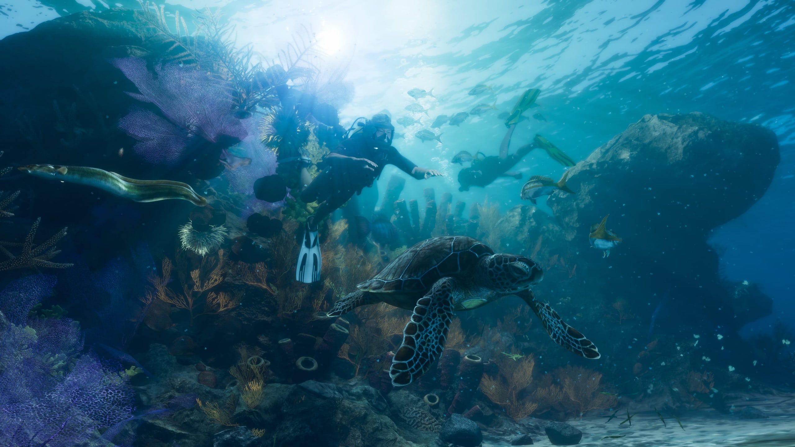 Two divers explore a reef with fish, an eel and a sea turtle.